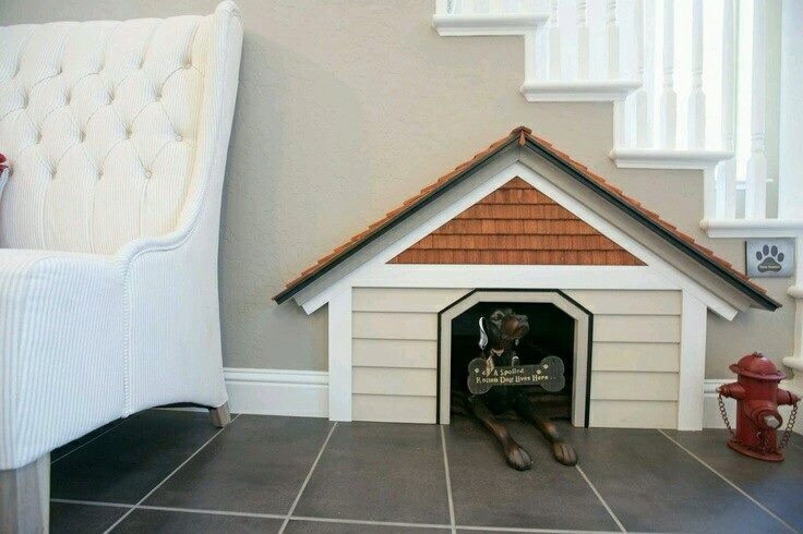 Indoor Dog House Ideas | Trusper