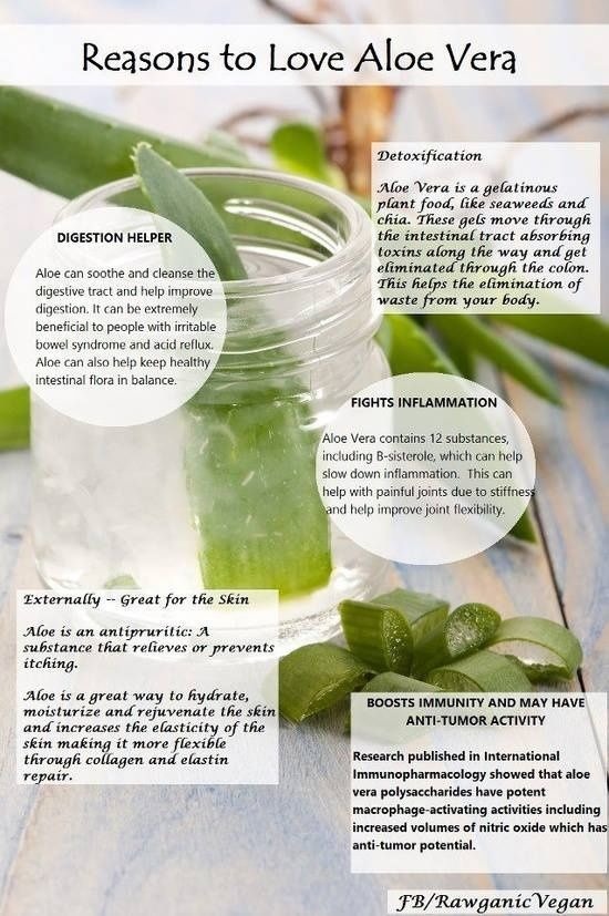 7 Amazing Benefits And Uses For Aloe Vera recommendations 7 Amazing Benefits And Uses For Aloe Vera recommend