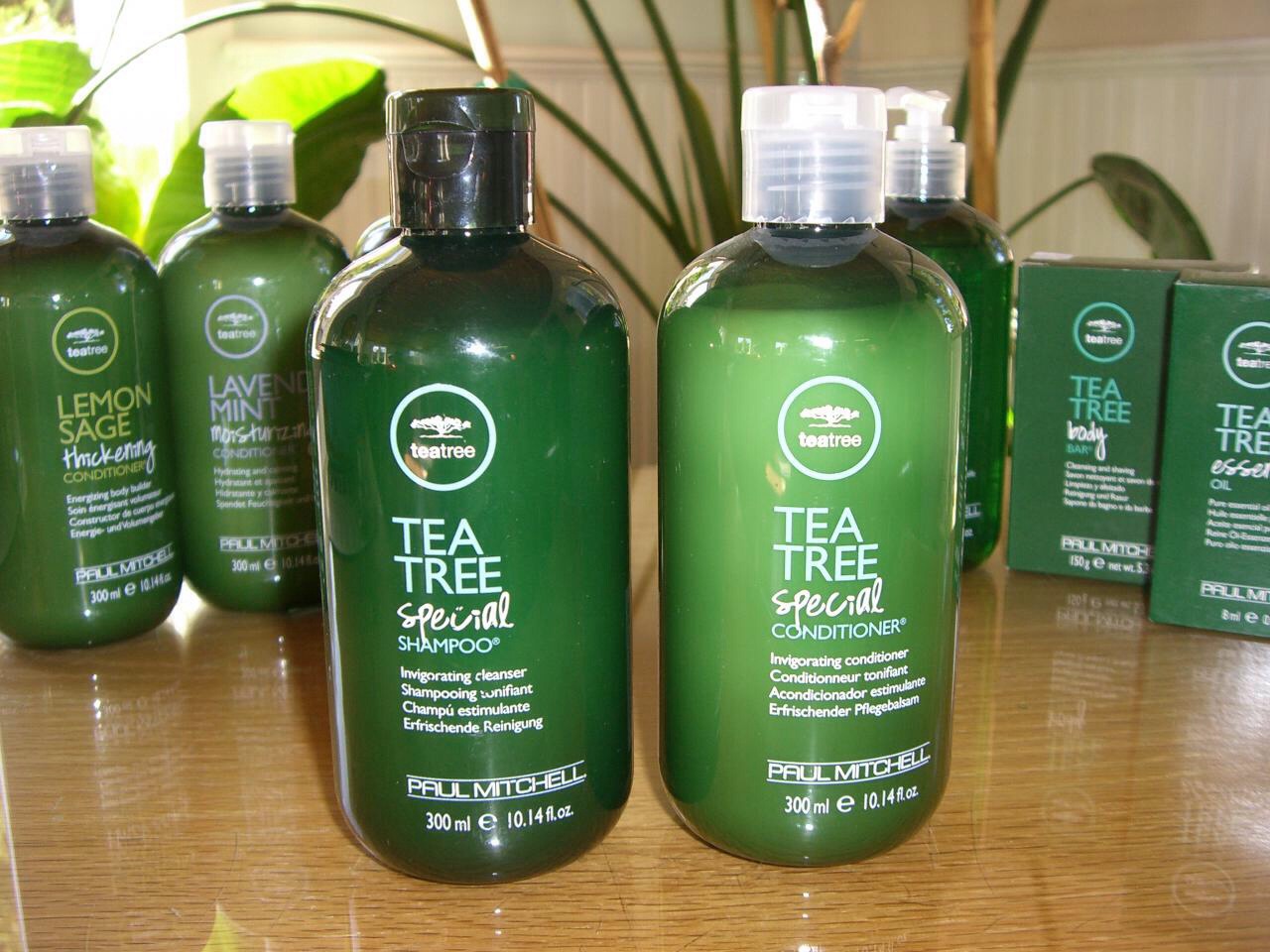 Using Tea Tree Shampoo And Conditioner Keeps The Lice Away. Great For