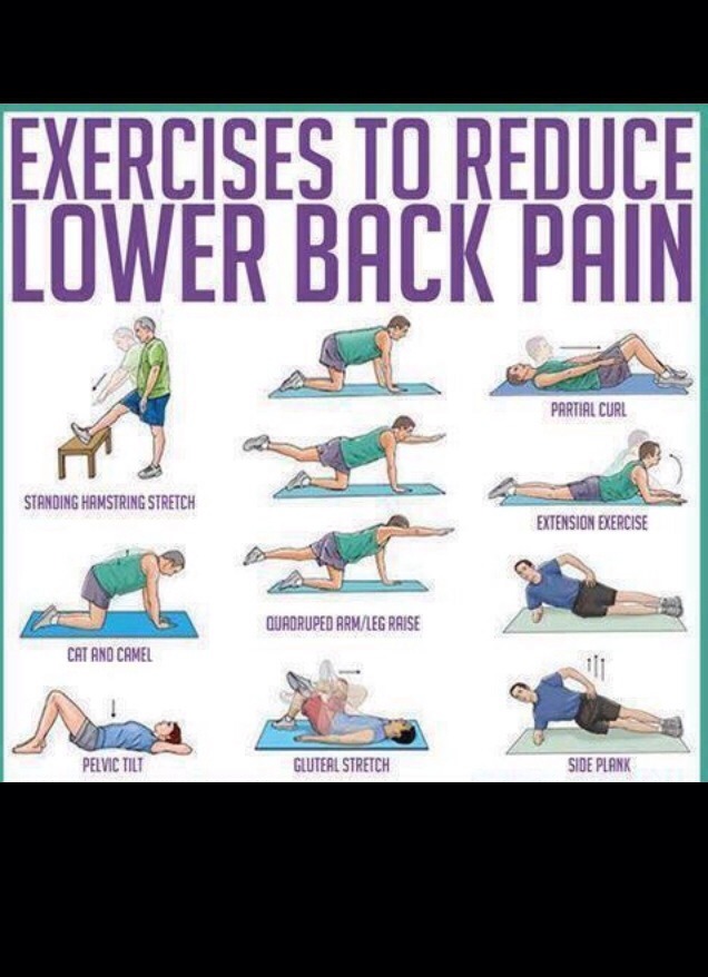 Reduce Your Back pain With Exercise ! | Trusper