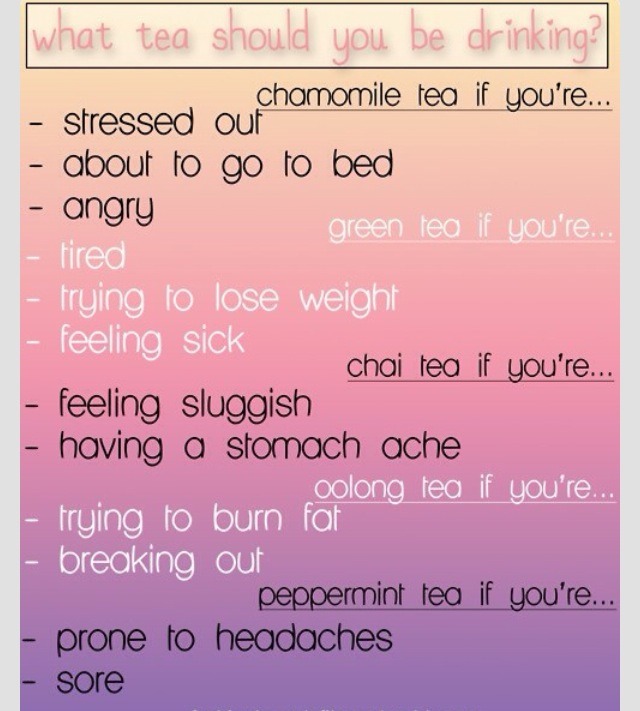 What Type Of Tea Should You Be Drinking? Trusper