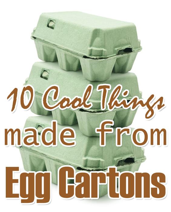 10 Cool Things Made From Egg Cartons Trusper
