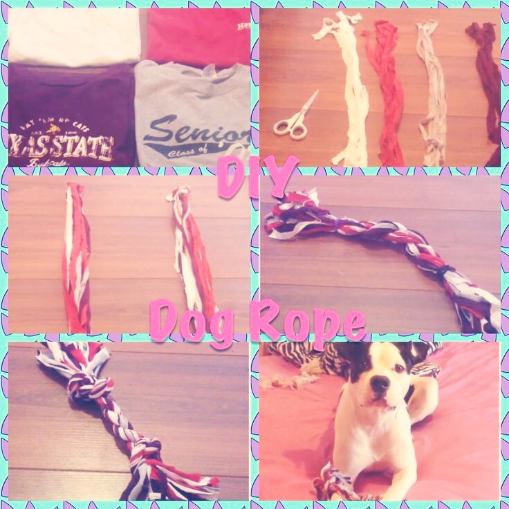 Diy Dog Rope Toy Trusper