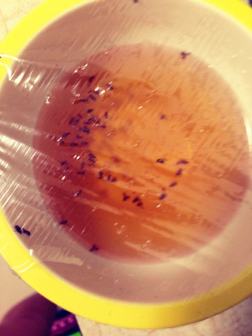 Black widow spider ring, bed bugs bites itch, what gets rid of fruit