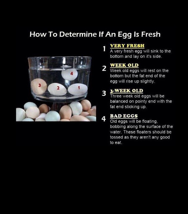 Bulking? Or Just An Egg Lover! Great Way To Make Boiled Eggs!! Trusper