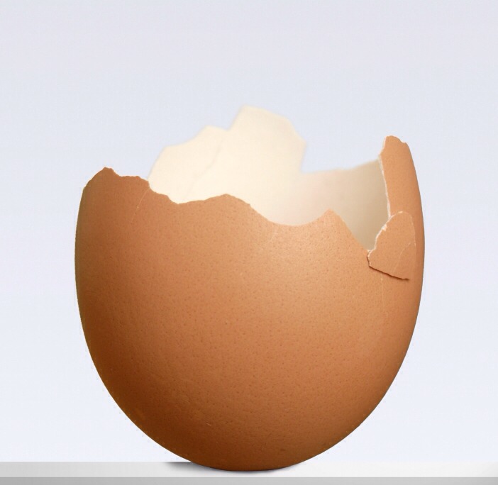 What To Do With Those Used Eggshells 🆒 Trusper