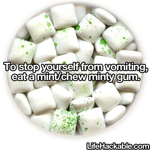 how to stop a from vomiting 1 like how to stop a from vomiting 1 like