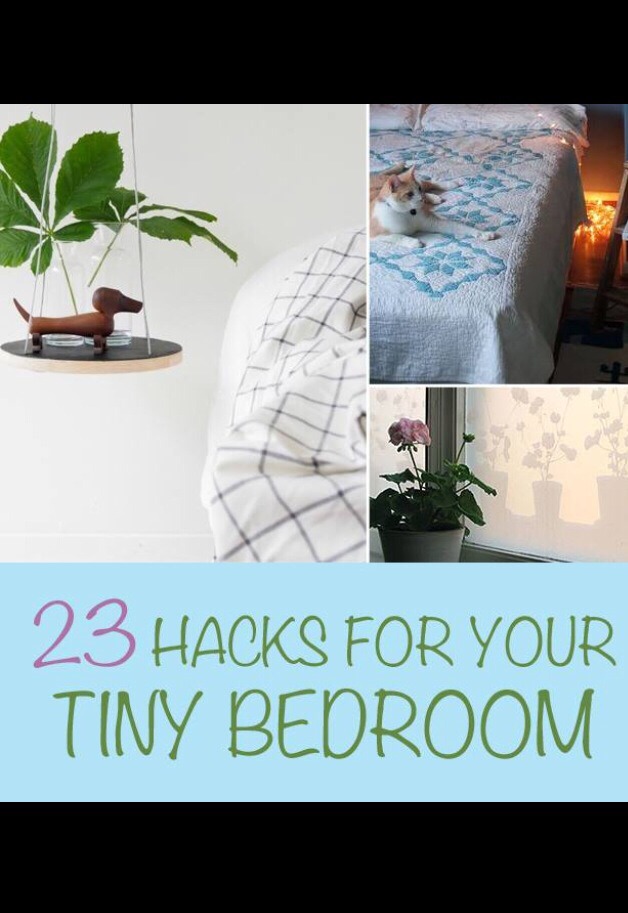 31 Cheap And Easy Decorating Hacks Trusper