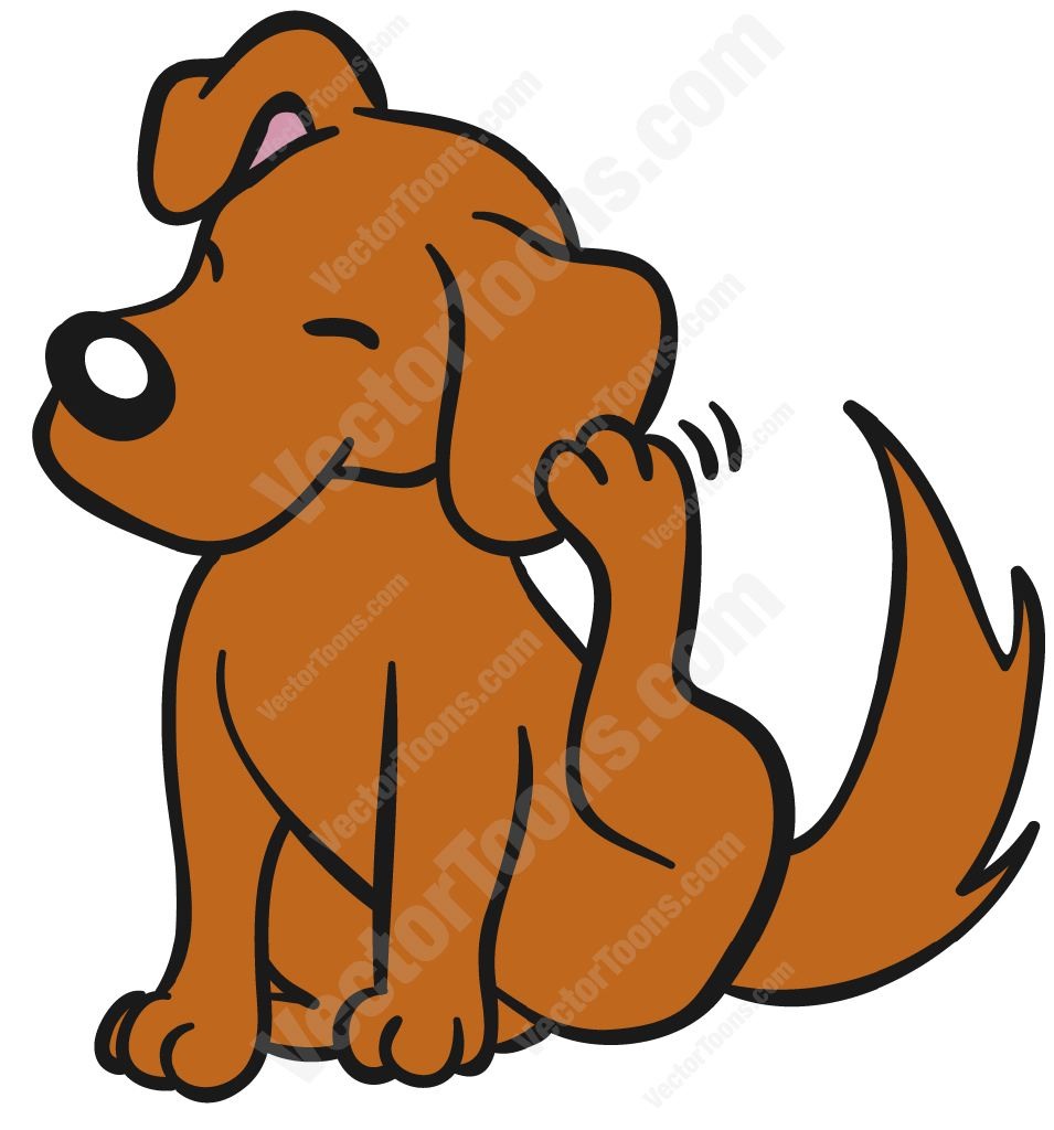 Does Your Dog Have Itchy,smelly Ears? Apple Cider Vinegar ...