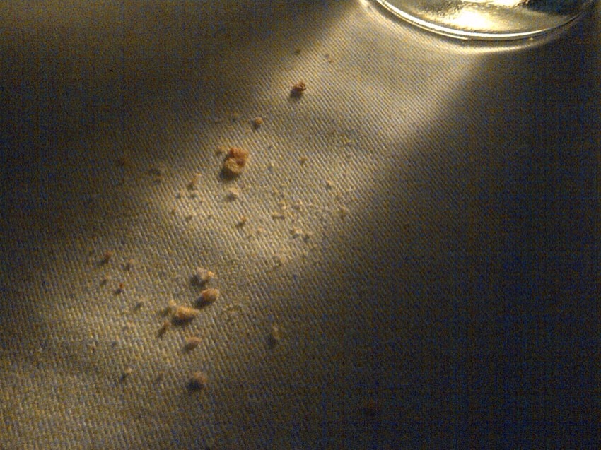 Easy Way To Get Crumbs Out Of Bed Sheets Trusper