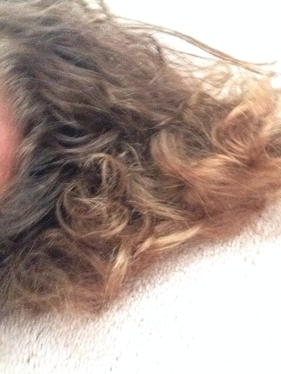 How To Grow Your Hair 14 Inches In A Month! Trusper