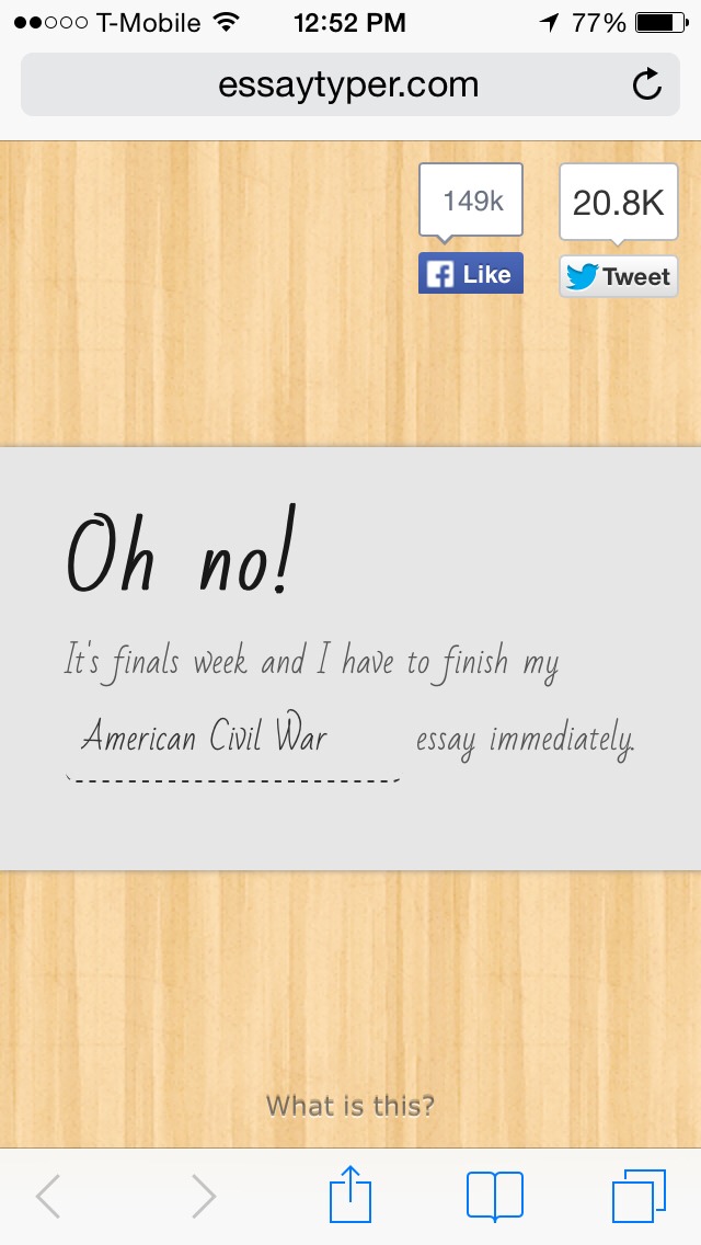 Writes essay for you