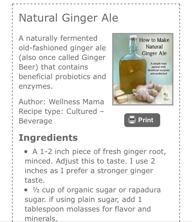💛How To Make Natural Ginger Ale Great For Your Health💛 Trusper