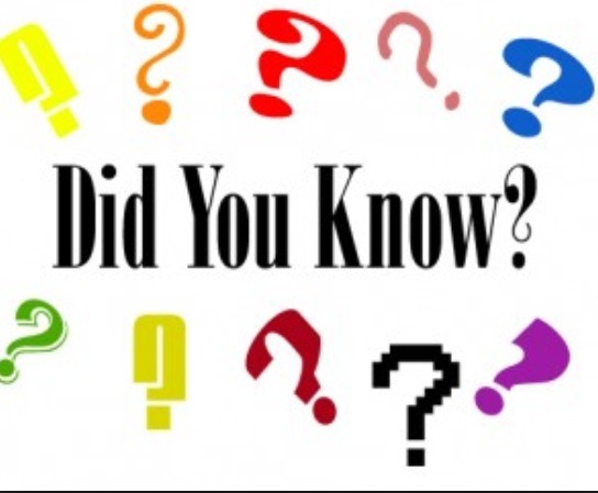 21 Things You Didnt Know About White Christmas forecasting 21 Things You Didnt Know About White Christmas recommendations
