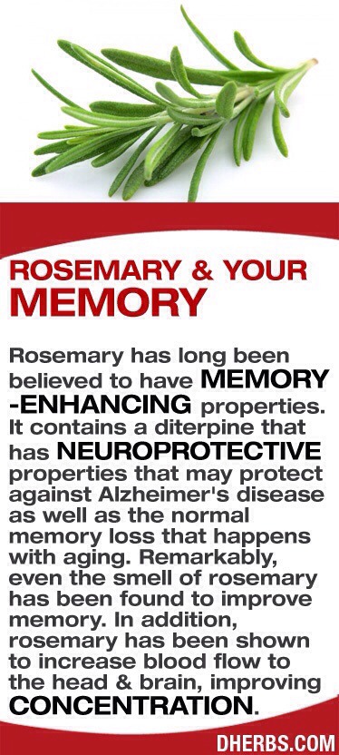 rosemary herb benefits rosemary herb benefits