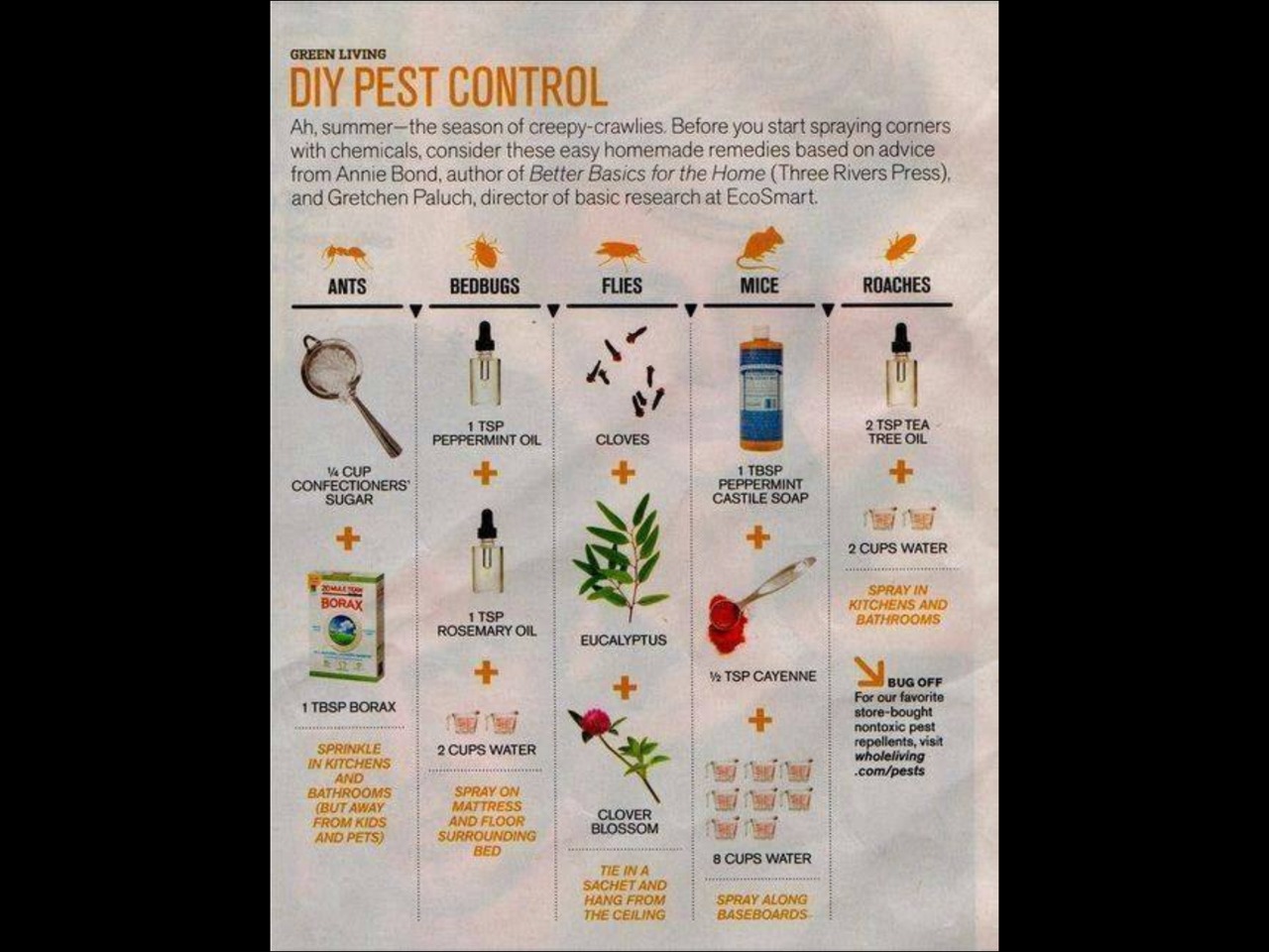 1435 Views 78 Likes 2 Dislikes