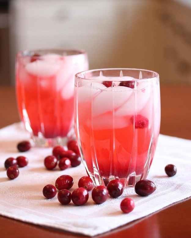 Cranberry Vodka Spritzer; Drink Trusper