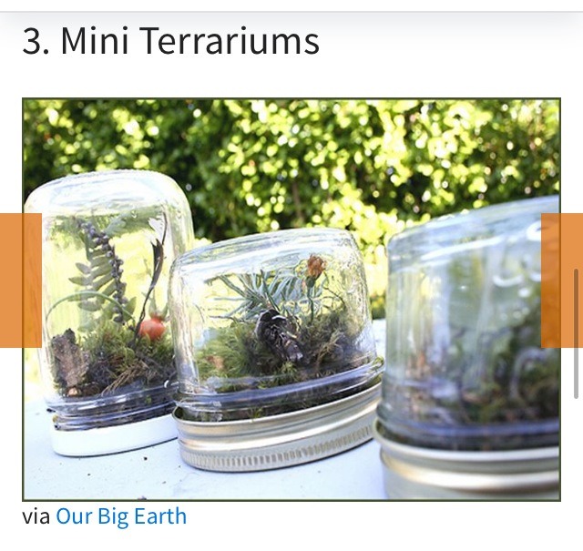 11 Ideas To Repurpose Baby Food Jars Trusper