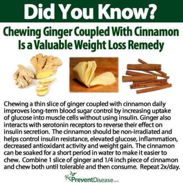 Chewing Ginger With Cinnamon Can Reduce Weight Trusper