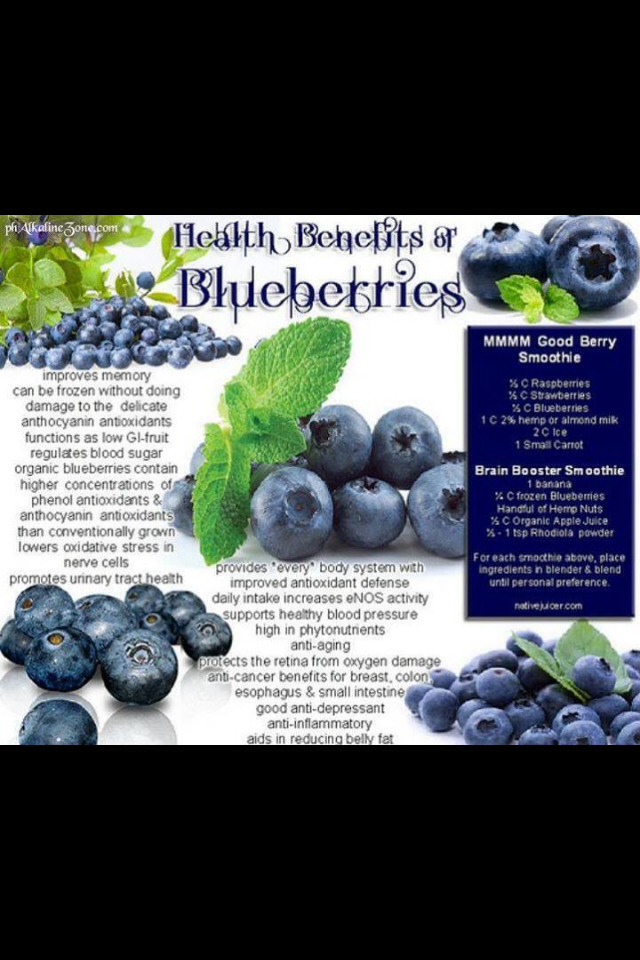 Benefits Of Blueberry Trusper