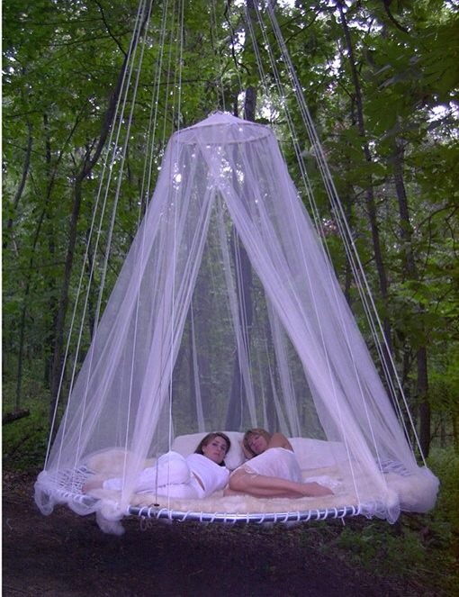 Awesome Trampoline Beds Trusper