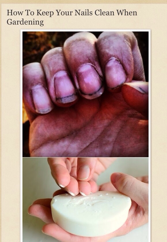 How To Keep Your Nails Clean While Gardening Trusper