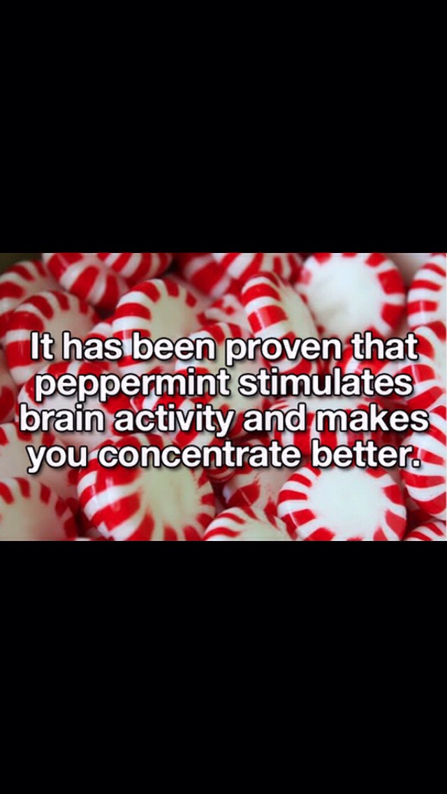 How To Use Peppermint To Focus!!!!💕💕💕💕 Trusper