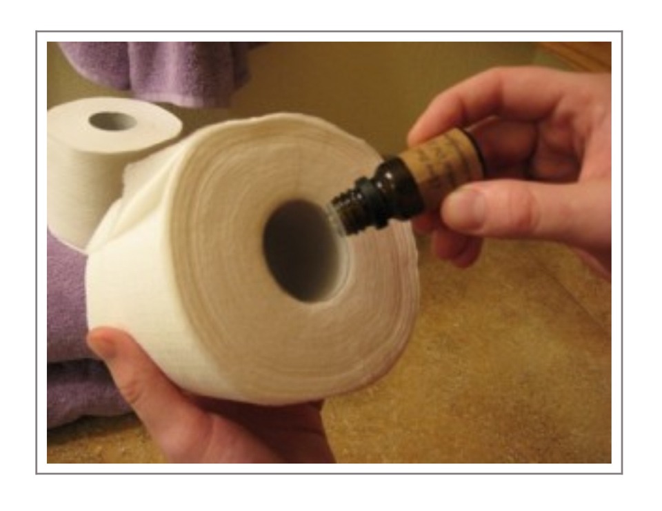 Easy Way To Keep Your Bathroom Smelling Great! Trusper