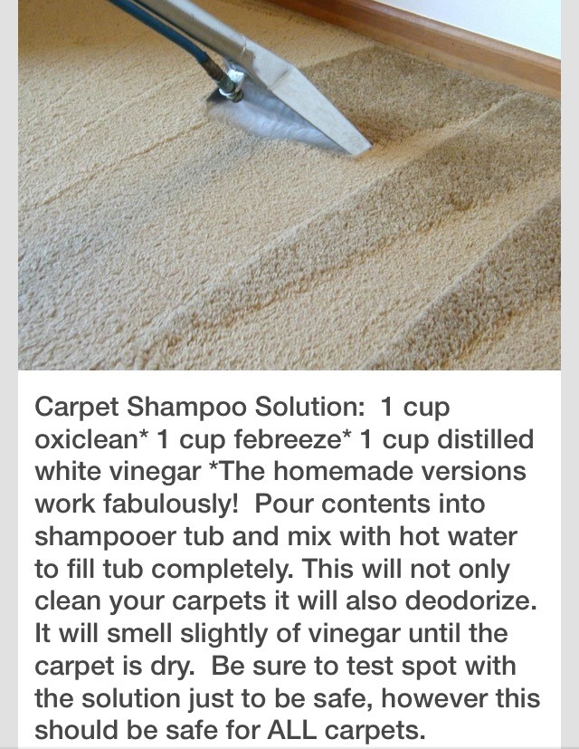 Carpet Shampoo That's Safe For All Carpets!! Trusper