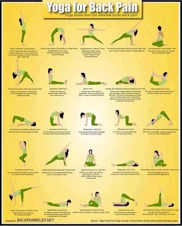 Yoga Exercise For Bad Backs Trusper