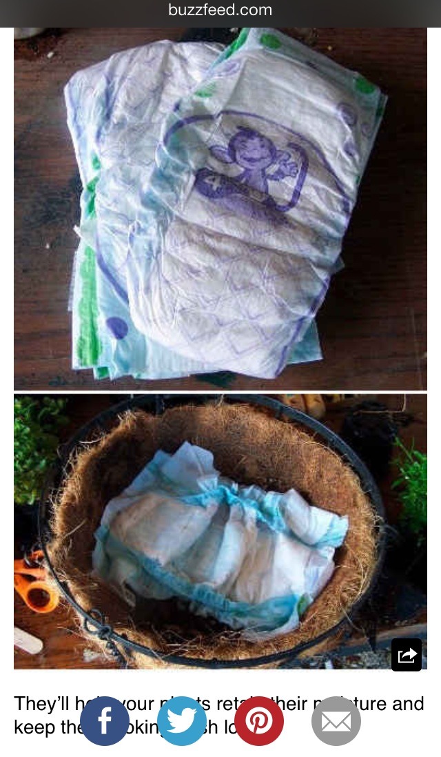 Why You Should Put Diapers In The Bottom Of Potted Plants Trusper