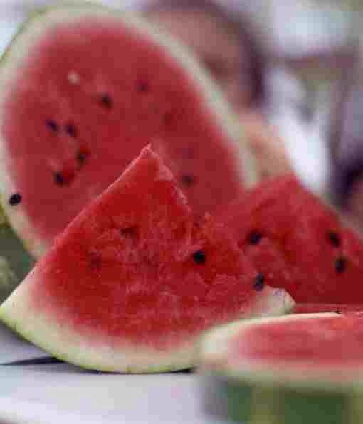 is cantaloupe for dogs 10 human foods that are safe for your trusper is cantaloupe for dogs 10 human foods that are safe for your trusper