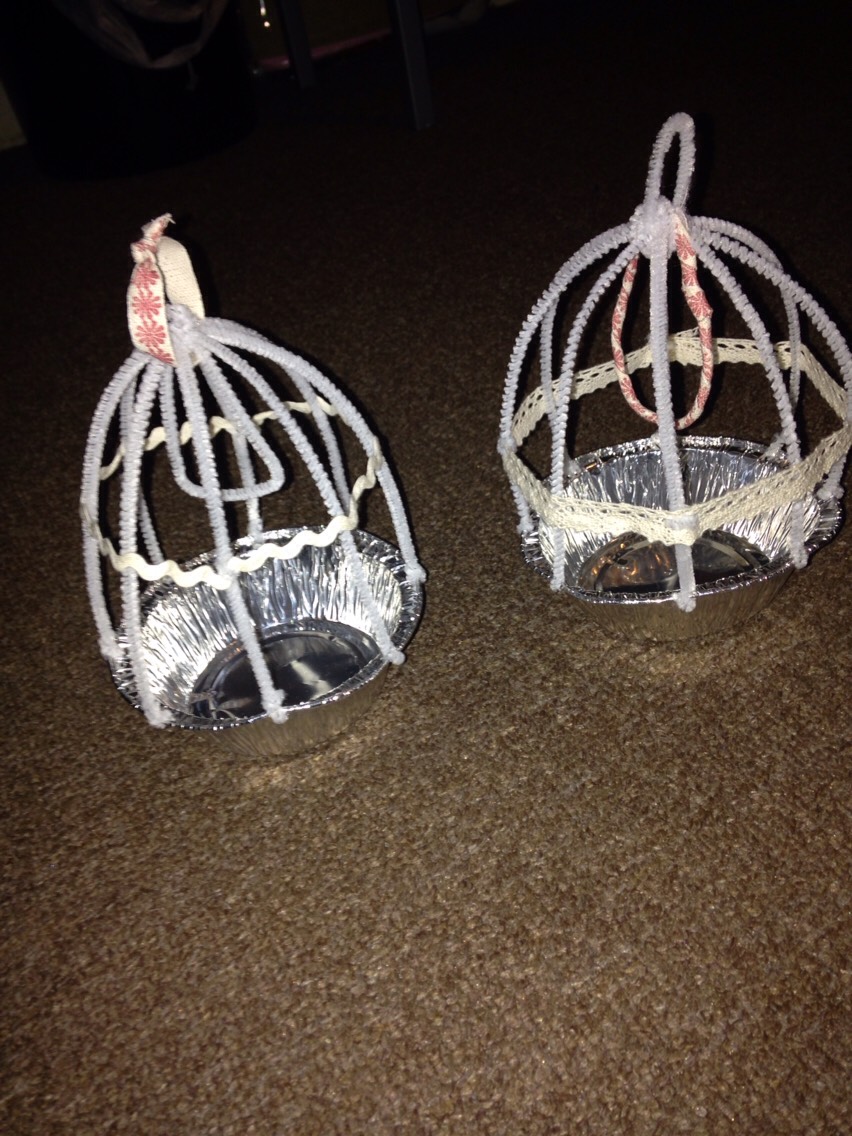 Pipe Cleaner ( Bird Cage ) So Cute Trusper