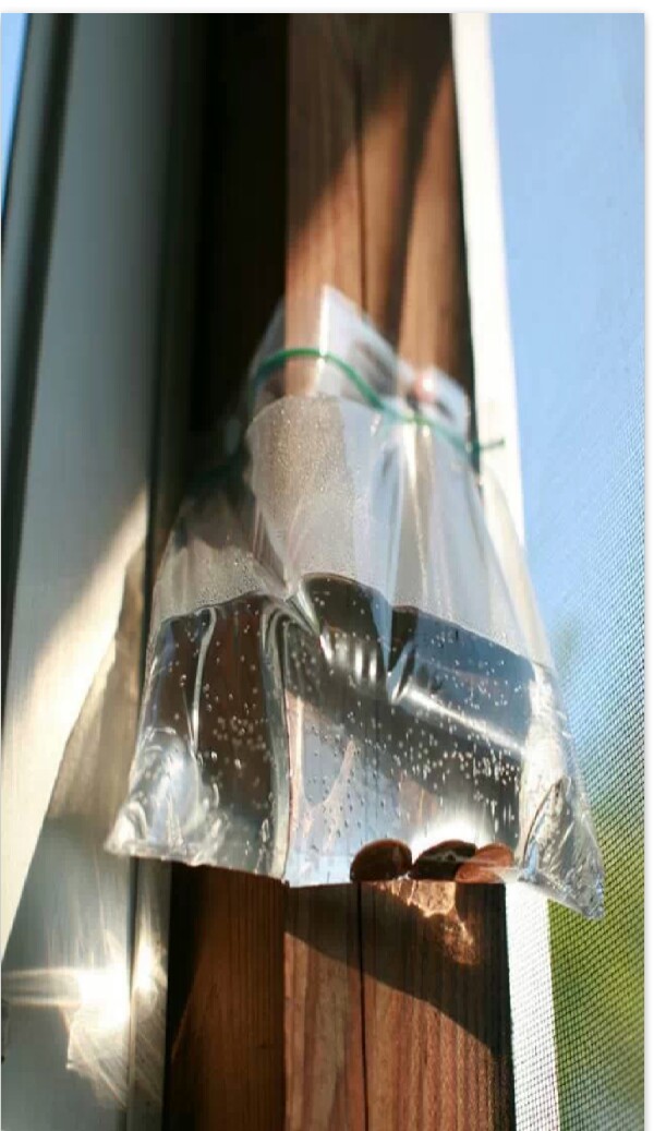 hang zip lock baggies filled with water and a few pennys to keep the