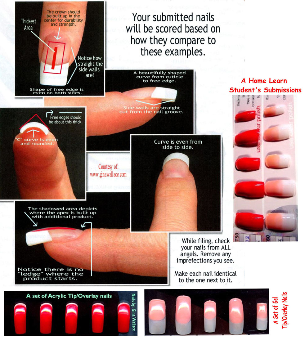 Alibaba Manufacturer Directory Suppliers Manufacturers Kds Factory Of Acrylic Powder For Nail Extension French Nails How To Make