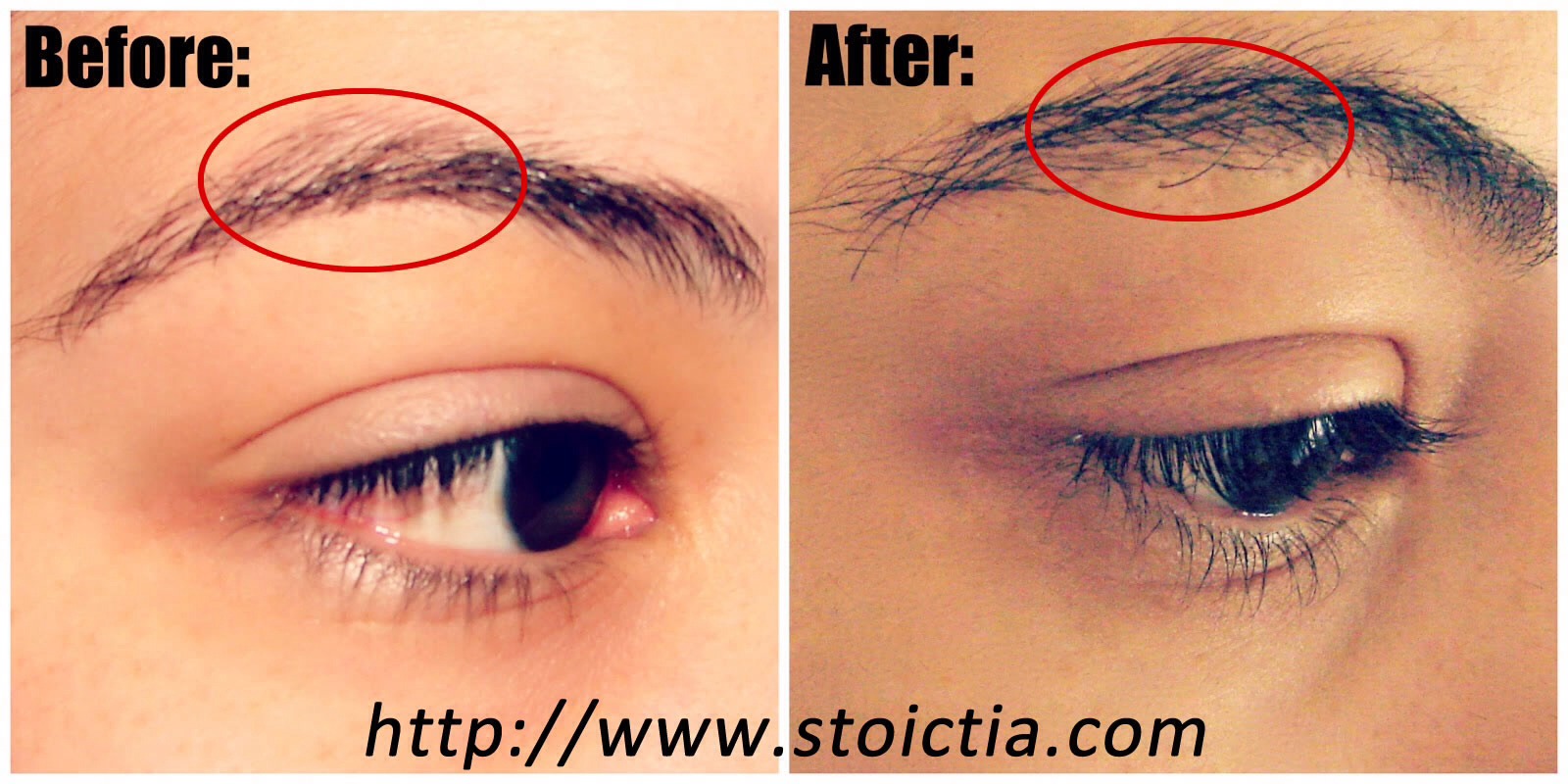 Rub Vaseline On Eyebrows And Eyelashes Every Night For 2 Weeks To