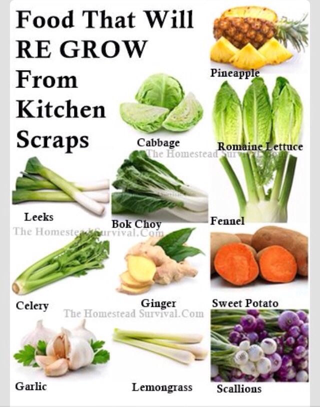 Might Is Right The Survival Of The Fittest Pdf Easy Words Ending In Ment Grow Food 