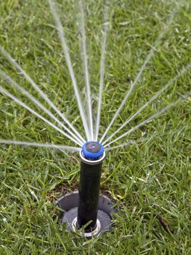 6 Easy Lawn Care Watering Tips Trusper