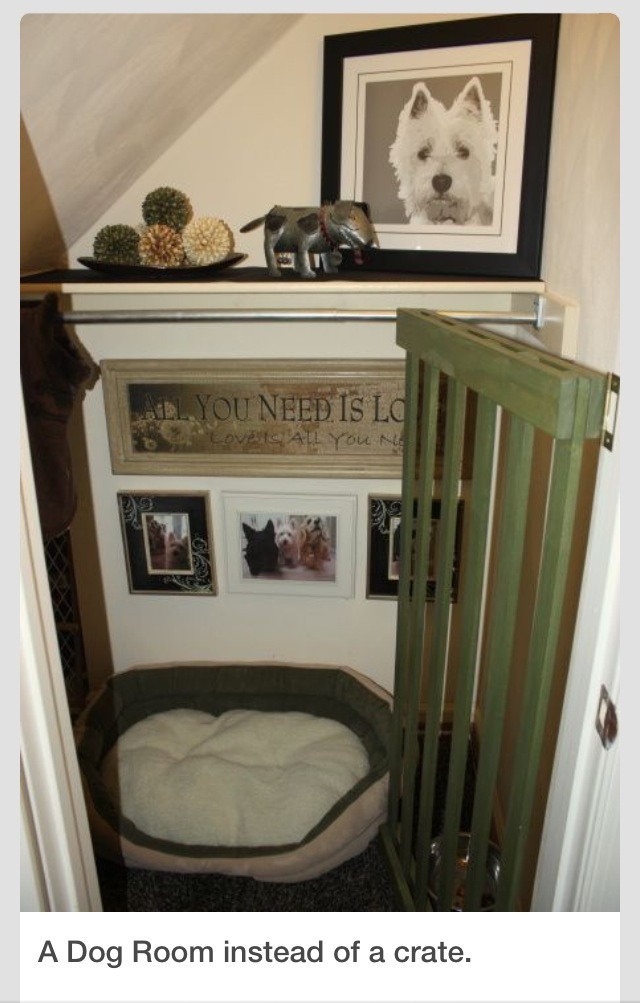 Turn A Closet Or Small Space Into A Dog Room Trusper
