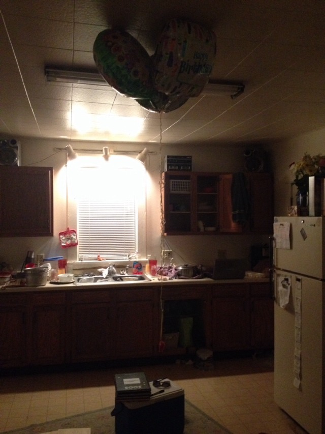 How To Wash A Cat Trusper