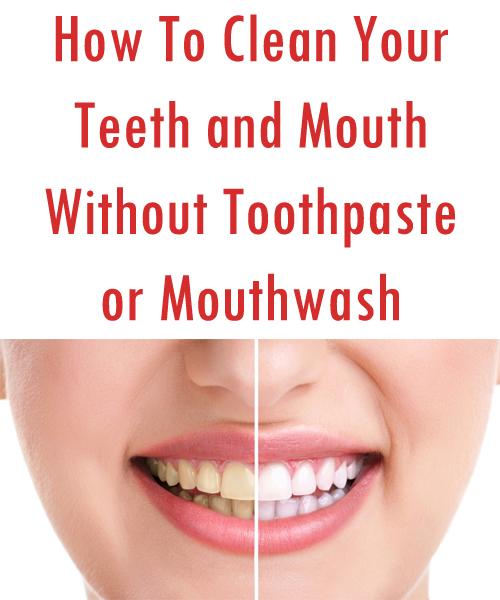 how to clean your s teeth by caroline mciwen 38 friends 217 followers how to clean your s teeth by caroline mciwen 38 friends 217 followers