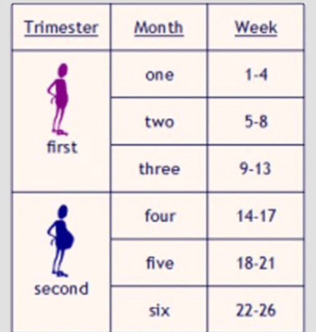 a-chart-to-convert-weeks-to-months-during-pregnancy-trusper