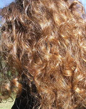 Relax Naturally Curly And Frizzy Hair Relax Naturally Curly And Frizzy Hair