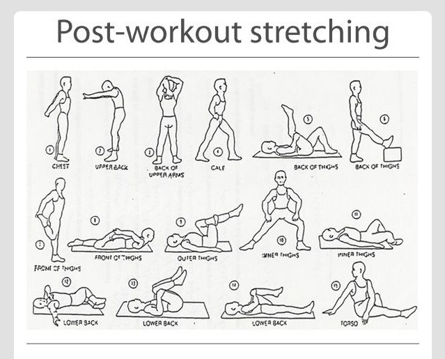 Postworkout Stretching Trusper
