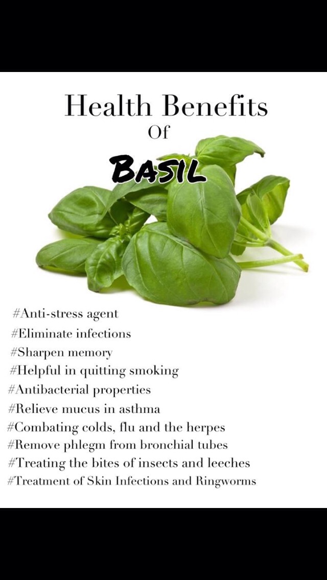 Health Benefits Of Basil Trusper