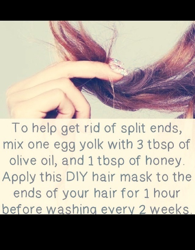 Different Ways To Cut The Ends Of Your Hair | different ways to cut the ends of your hair the natural Different Ways To Cut The Ends Of Your Hair | different ways to cut the ends of your hair the natural