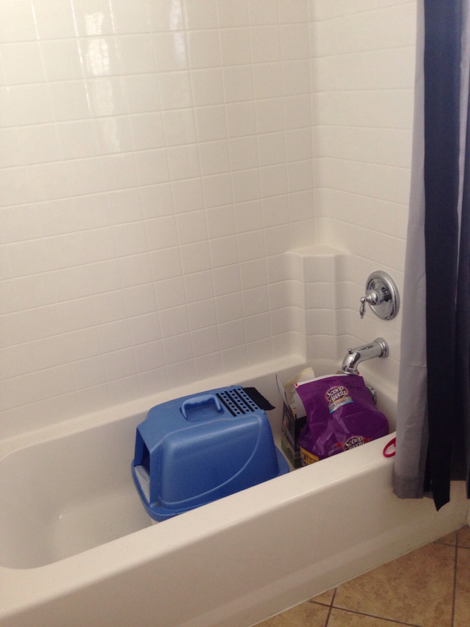 Easy Way To Hide A Litter Box Trusper