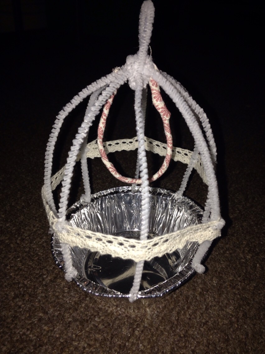 Pipe Cleaner ( Bird Cage ) So Cute Trusper