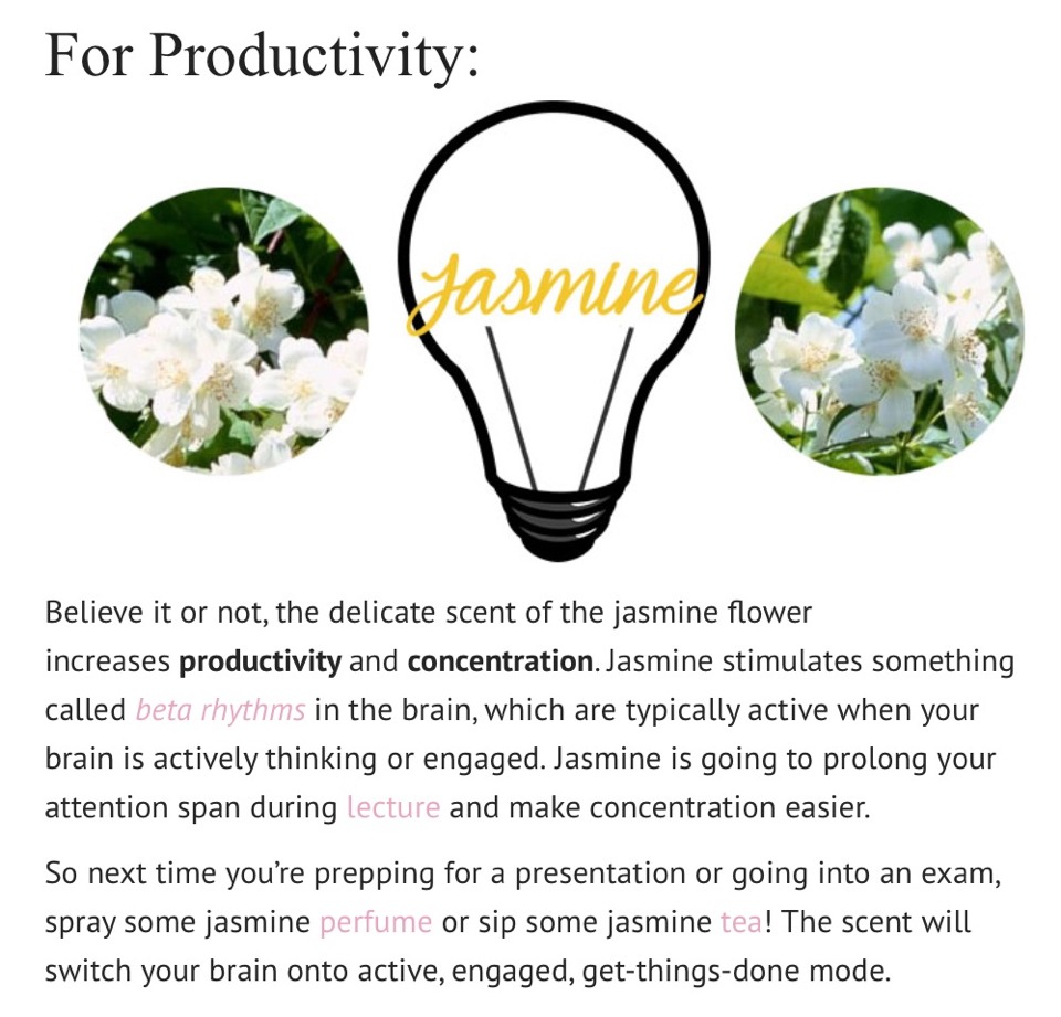 5 Scents that Affect Your Mood👃 😍 Trusper