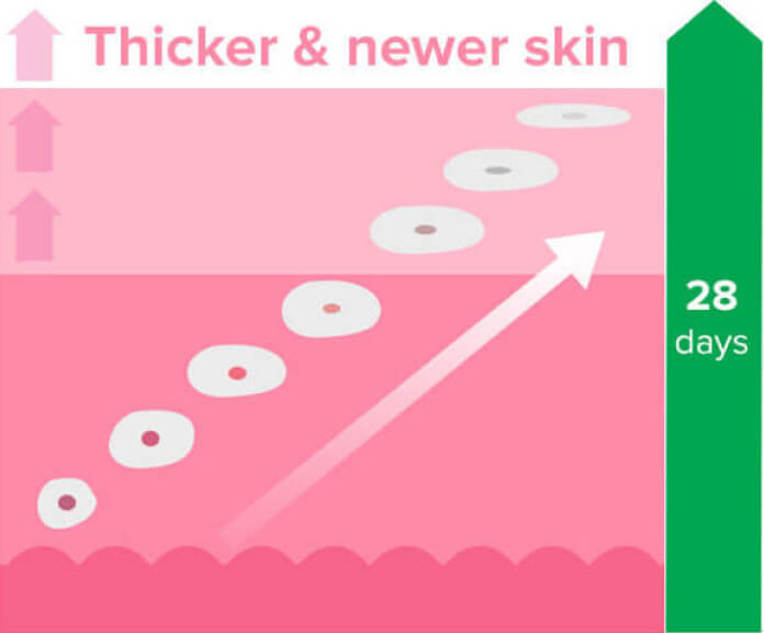 Prescription Wrinkle Cream AntiAging Retinoid Skincare The Anti